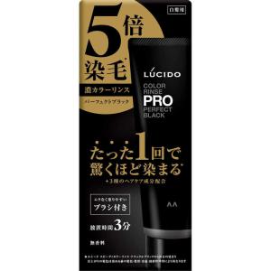 ルシード カラーリンスPRO 120gの高価買取価格