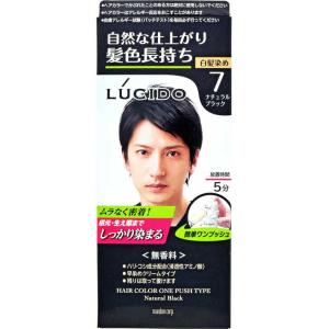 ブローネ リライズ 白髪用髪色サーバー リ・ブラック 自然な黒さ