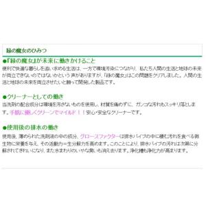 三宝 緑の魔女バス 420mlの詳細画像4