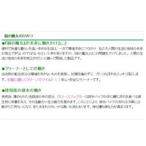 三宝 緑の魔女トイレ 420mlの詳細画像4
