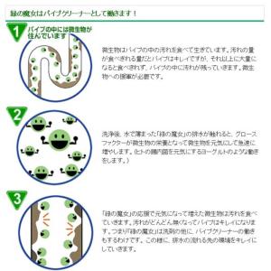三宝 緑の魔女トイレ 420mlの詳細画像5