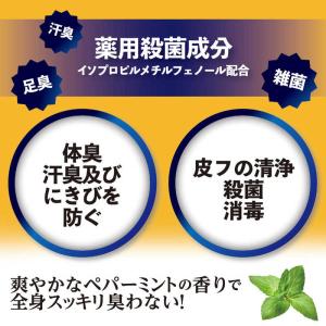 マックス 薬用柿渋ボディソープ 大容量替の詳細画像4