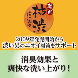 マックス 薬用柿渋ボディソープ 大容量替の詳細画像5