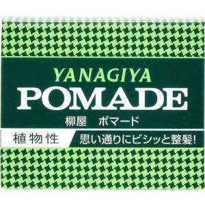 SHISEIDO 資生堂 アウスレーゼ ブリランチンN ポマード 80g