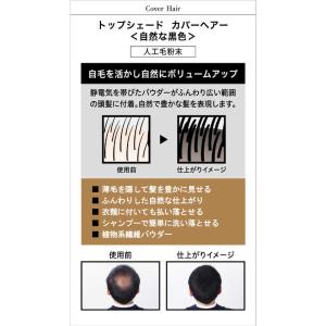 柳屋本店 「トップシェード」カバーヘアー 自然...の詳細画像3