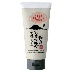 ジュン・コスメティック 馬油洗顔フォームN 120g (1個) : みんなのお薬