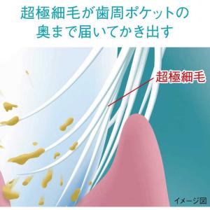LION システマ ハグキプラス ハブラシ 超...の詳細画像4