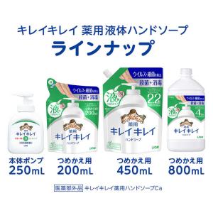 LION キレイキレイ薬用液体ハンドソープ 替...の詳細画像4