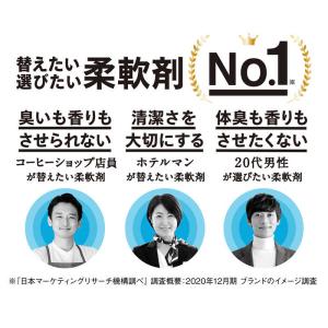 LION ソフラン プレミアム消臭 ウルトラゼ...の詳細画像3