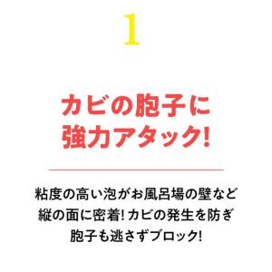 リンレイ ウルトラハードクリーナー バス用 防...の詳細画像2