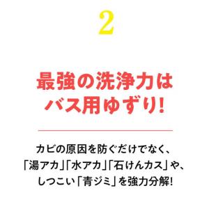 リンレイ ウルトラハードクリーナー バス用 防...の詳細画像3