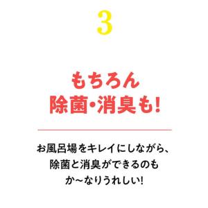 リンレイ ウルトラハードクリーナー バス用 防...の詳細画像4