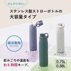タイガー TIGER ステンレスボトル [75...の詳細画像1