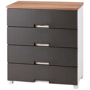 天馬 TENMA フィッツプラス メッシュの買取情報