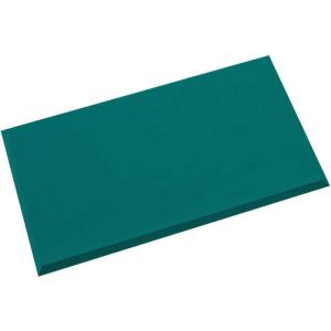 テラモト テラモト制電クッションマット450×750mm  MR9396450