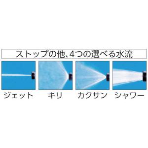 アイリスオーヤマ IRIS OHYAMA 散水...の詳細画像1