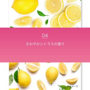 レキットベンキーザージャパン ミューズ デオド...の詳細画像4