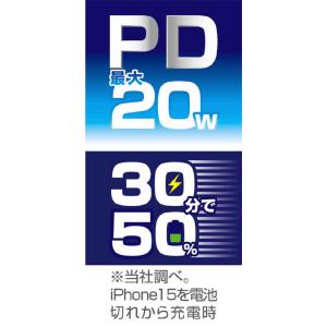 カシムラ 電源タップAC4 USBA+C PD...の詳細画像2