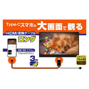 カシムラ 3m HDMI変換ケーブル Type...の詳細画像1