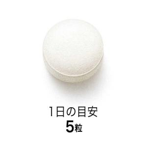 ファンケル ファンケル カルシウム 30日分の詳細画像2