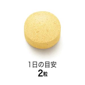 ファンケル FANCL(ファンケル) 亜鉛 30日分の詳細画像2