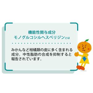 ファンケル ファンケル 中性脂肪サポート90日分の詳細画像2