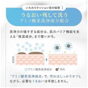 ファンケル ピュアモイスト 泡洗顔料 150mLの詳細画像5