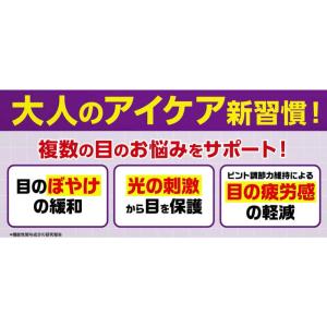ファンケル FANCL えんきん 20日分 20粒の詳細画像1