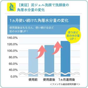 ファンケル 泥ジェル洗顔 120gの詳細画像4