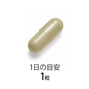 ファンケル ウェルエイジプレミアム20日分の詳細画像2