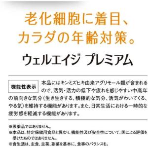 ファンケル ウェルエイジプレミアム20日分の詳細画像3