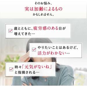 ファンケル ウェルエイジプレミアム20日分の詳細画像4