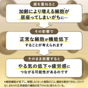ファンケル ウェルエイジプレミアム20日分の詳細画像5