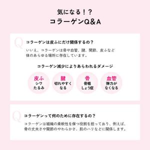 資生堂 The Collagen (ザ・コラー...の詳細画像5