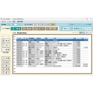 IRT やさしい家計簿ノート IRT0428の詳細画像1