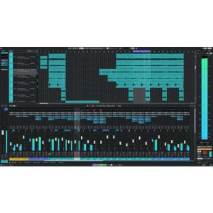 STEINBERG Cubase Elemen...の詳細画像3