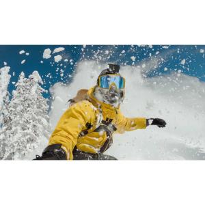 ゴープロ GOPRO ヘッドストラップ2.0 ...の詳細画像3