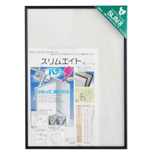 FUJIFILM（フジフイルム） フジカラー アルミ額縁 A300(全紙) A300