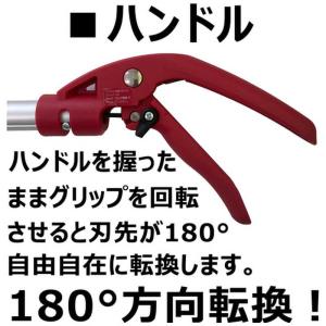 大進 DS-C1629 軽量高枝切鋏 標準刃 ...の詳細画像3