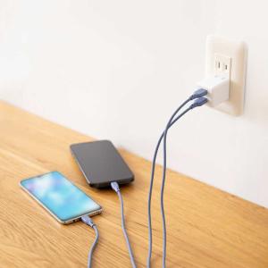 OWLTECH 最大24W出力 USB Typ...の詳細画像4