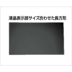 光興業 iPad Pro 12.9インチ 横用 抗菌 抗ウイルス覗き見防止フィルター LNAV129IPADP