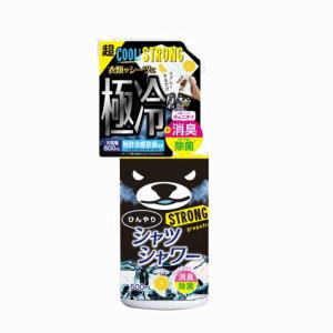 アイスノン シャツミスト ICE KING つめかえ用 ( 280ml )/ 冷却