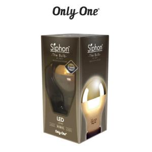 Siphon フィラメント電球 The Bulb Gold mirror＋Frost LDF80 （暖系電球色） ×1個の商品画像