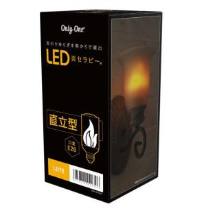 Casper Candle Light キャスパーキャンドルライト電球 1箱2ケ入