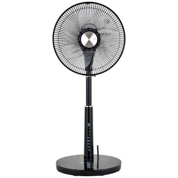おおたけ　扇風機 DCモーター搭載 (省エネタイプ) 30cm 7枚 リモコン付き　GF-DC325...