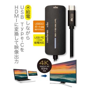 ナカバヤシ PD対応 Type-C to HD...の詳細画像2