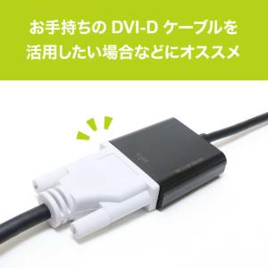 ナカバヤシ DisplayPort → DVI...の詳細画像3