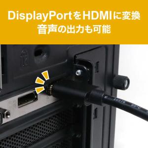 ナカバヤシ HDMI → DisplayPor...の詳細画像2