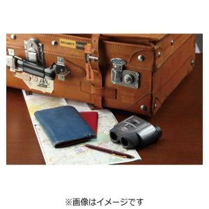 ビクセン 10~30倍双眼鏡 「コンパクトズー...の詳細画像1