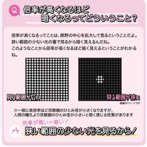 ビクセン 双眼鏡 Vixen アリーナH+8x...の詳細画像4